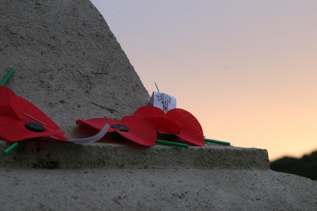 Anzac Poppies
